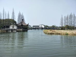 去了江蘇,不可錯(cuò)過的旅游景點(diǎn)