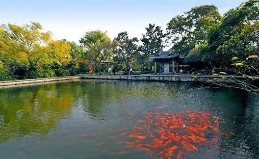 夜宿靈山小鎮拈花灣沙家浜宋城千古情金茂大廈純玩六日游
